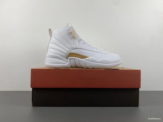 Kick Theory Air WMNS FD9101-007 Phantom Jordan 12 0814
